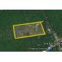 ABSOLUTE Real Estate Auction 19-13 42.5+/- Acres  
