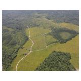 Real Estate Foreclosure Auction 25-141 226+/- Acre Blueberry Farm - 3BR Farmhouse/Office