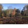 Real Estate Foreclosure Auction 20-187, 2.45+/- Acre Home Site