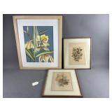 D Potter Lily Painting & Floral Lithographs