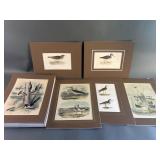 Birds of American Antique Prints