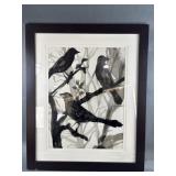 Framed Crows/Blackbird Art