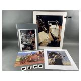 Rocky Mountain Big Horn Print & More