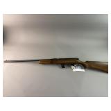 Ranger .22 Cal Rifle