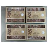 LED Copperleaf String Lights by American Vintage