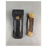 Buck 110 Folding Hunter Lockback Pocket Knife