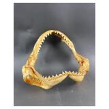 Mako Shark Jaw/Teeth