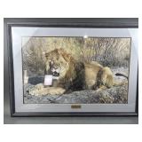 The Detroit Lions Signed Numbered Zoo Print