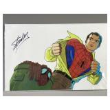 Stan Lee Signed Spider Man Lithograph