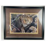Framed Print "Leopard on a Limb" Steven Kingston