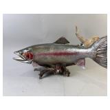 Taxidermy Rainbow Trout Full Mount