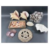 Assorted Seashells
