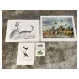 (5) Vintage Duck & Bird Prints