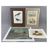 4- Vintage Wildlife Art Prints