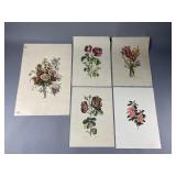 (5) Vintage Floral Prints