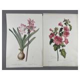 6- Vintage Flower Prints & More