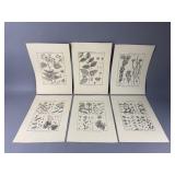 (6) 19th-Century Botanical Prints