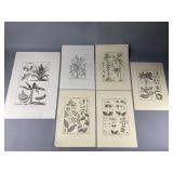 (6) 19th-Century Botanical Prints