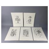 (5) 17th-18th-Century Botanical Prints