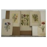 Botanical Mixed Prints