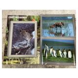 Signed Wildlife Photo Posters & More
