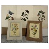 (5) Botanical Prints