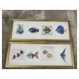 (2) Framed Watercolors of Fish