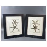 Framed Nautical Prints