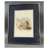 Framed & Signed Deer Print