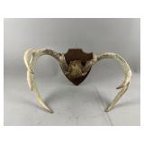 Vintage Buck Antlers