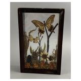 Vintage Taxidermy Butterfly Terrarium