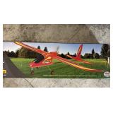 Radio control Airplane l