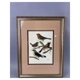 Vtg Framed/Signed Bird Print by W. Rutledge
