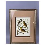 Vtg Framed/Signed Bird Print by W. Rutledge