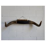 Vintage Mounted Bull Horns