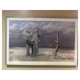 Limited Ed. Peter Bruce Print 785/999