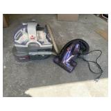 Bissell Spotbot Pet and Riccar