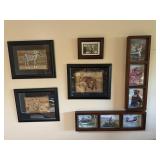 African Animal Wall Art & Photos