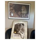 Peter Bruce Signed/Num Leopard Print, Lion Poster