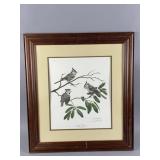 Framed/Signed Wildlife Lithograph by R. Harm