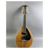 Vtg Weymann Mandolute