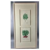 Framed/Signed/# Botanical Drawings