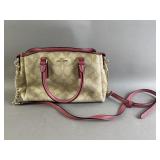 Coach Mini Sage Carryall
