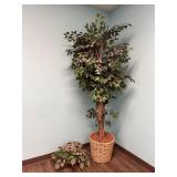 Artificial Tree & Plant