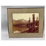 Vintage Framed Nature Landscape Print