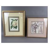 Framed Botanical & Watercolor Style Prints