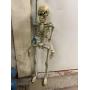 Creepy Skeleton has sound, movement & talks. 36in