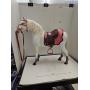 Our Generation Horse Approx 20 W x 19.5 T