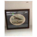 Framed Sandpiper Picture Approx 17x14