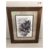 Framed Bird Picture Approx 17x14